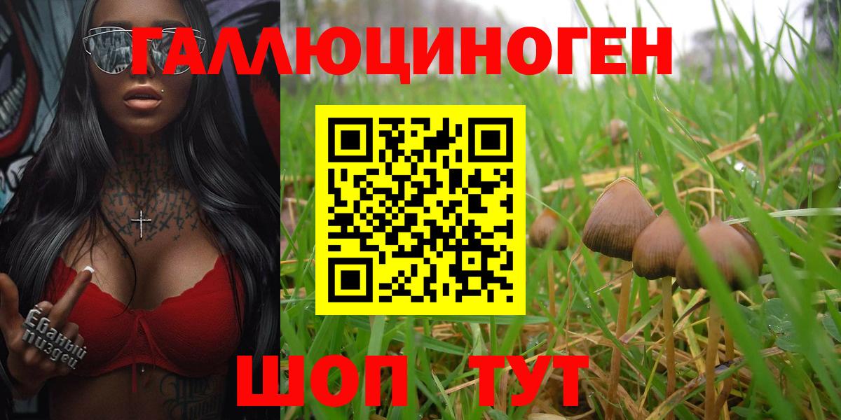 Галлюциногенные грибы прущие грибы  Галлюциногенные грибы мицелий  продажа наркотиков  Вход с VPN  Гай 